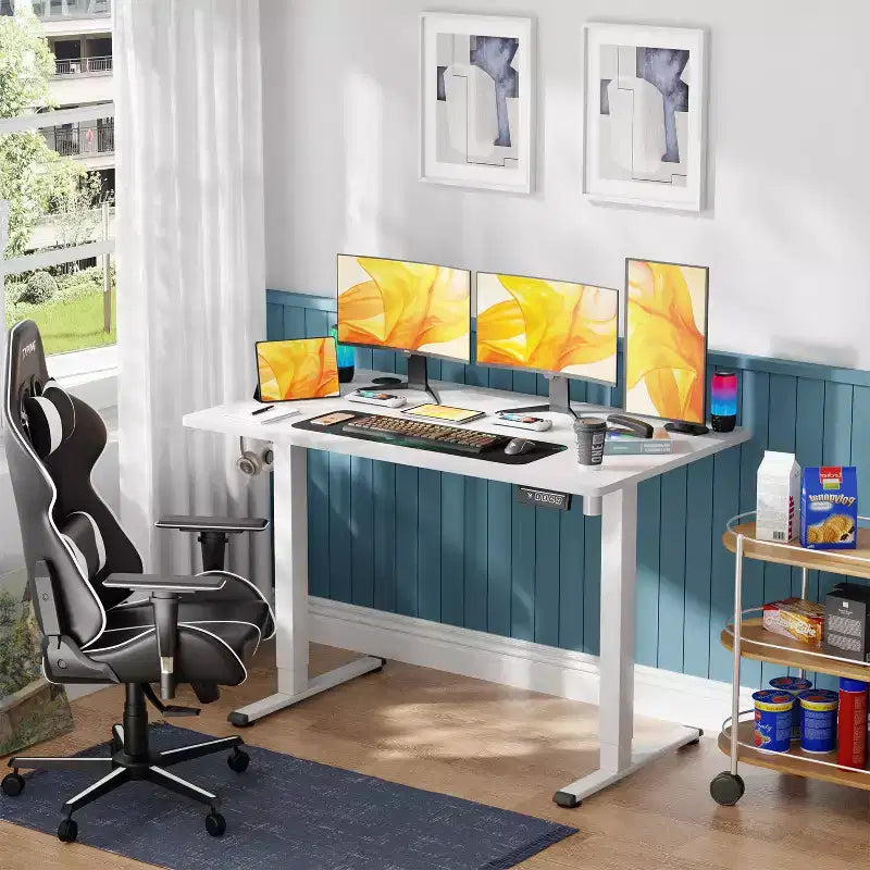 BestMassage Electric Standing Desk Adjustable Height Computer Desk Office Desk