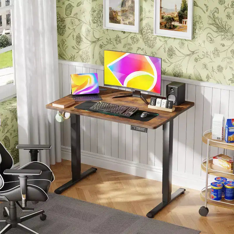 BestMassage Electric Standing Desk Adjustable Height Computer Desk Office Desk