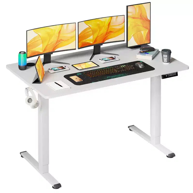 BestMassage Electric Standing Desk Adjustable Height Computer Desk Office Desk